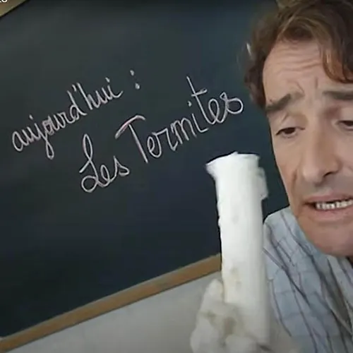 Les termites c'est pas sorcier