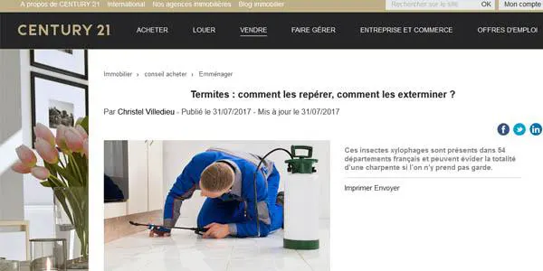 Termites : comment les repérer, comment les exterminer ?