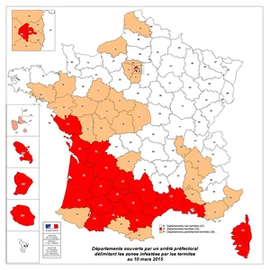 termites en france